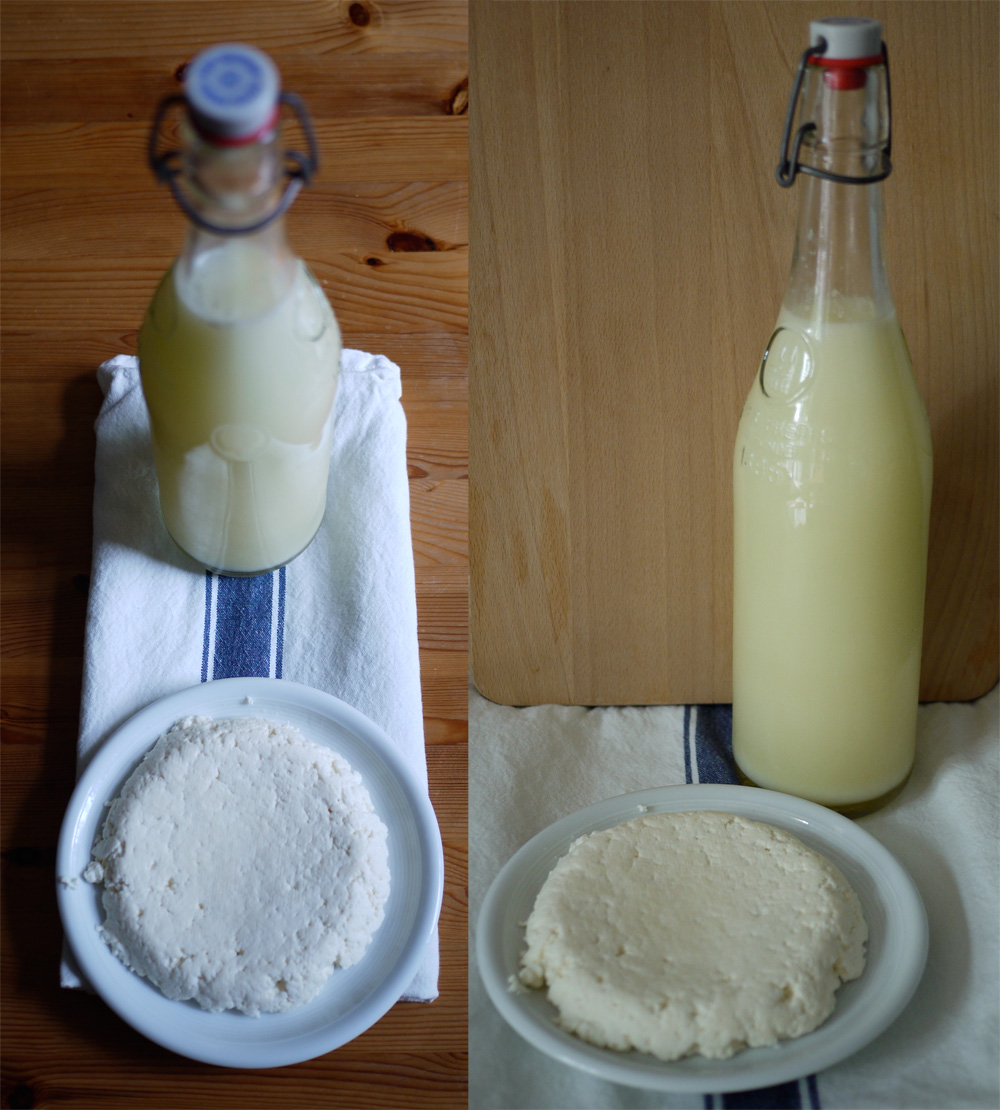 Cheese and Whey
